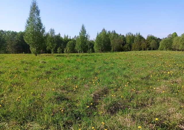 земля с Любомирово сельское поселение Угольское, Шексна фото