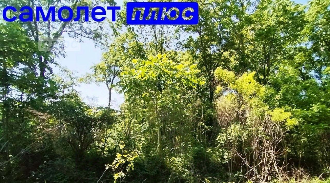 земля г Фокино ул Карла Маркса 9 фото 3