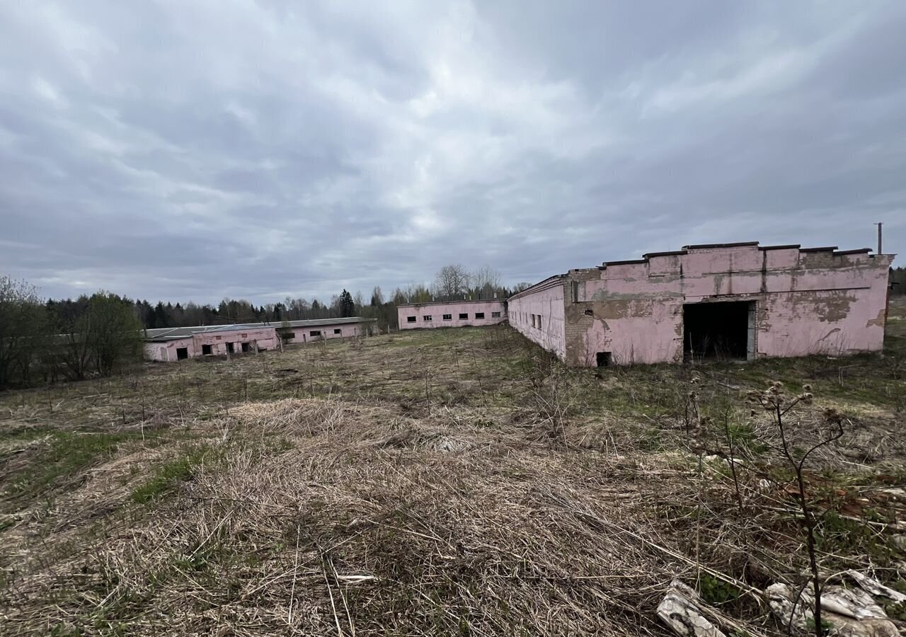 земля р-н Юрьянский с Загарье ул Гагарина Загарское сельское поселение, Мурыгино фото 4