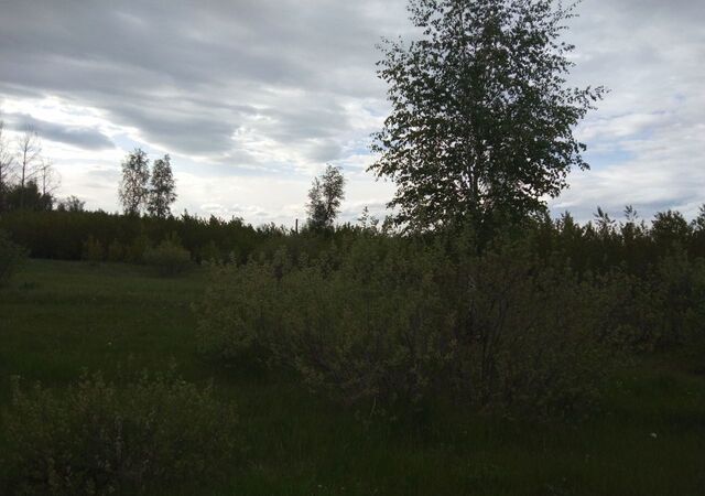 земля ул 9-я Линейная Лазурненское сельское поселение, Челябинск фото