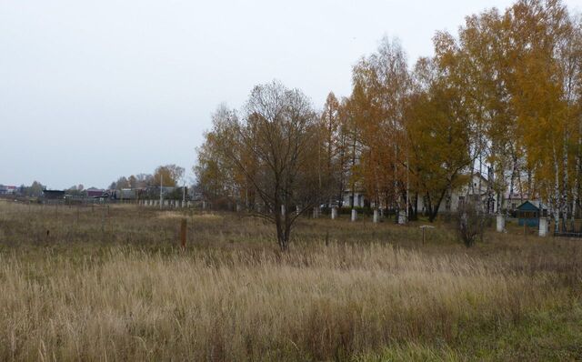 земля с Большие Всегодичи муниципальное образование Малыгинское, Ковров фото