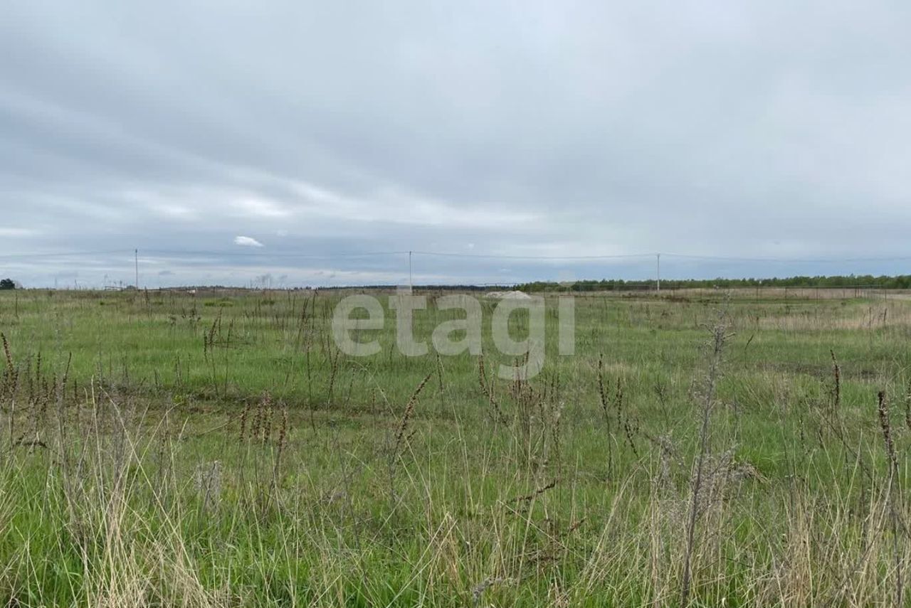 земля р-н Дубровский д Дубровка Дубровское городское поселение, д. Дубровка фото 3