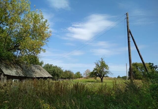 земля с Витовка Витовское сельское поселение, Почеп фото