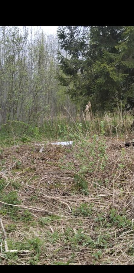 земля городской округ Талдомский г Талдом 84 км, 260, садовое товарищество Нива, Дмитровское шоссе фото 2