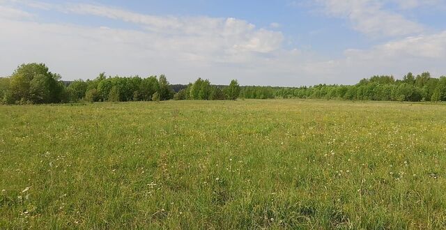 земля д Михайлово Михайловское сельское поселение, Юрьевец фото