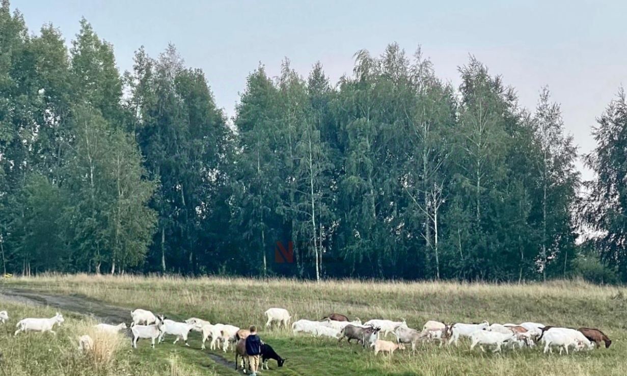 земля р-н Каменский г Каменка фото 10