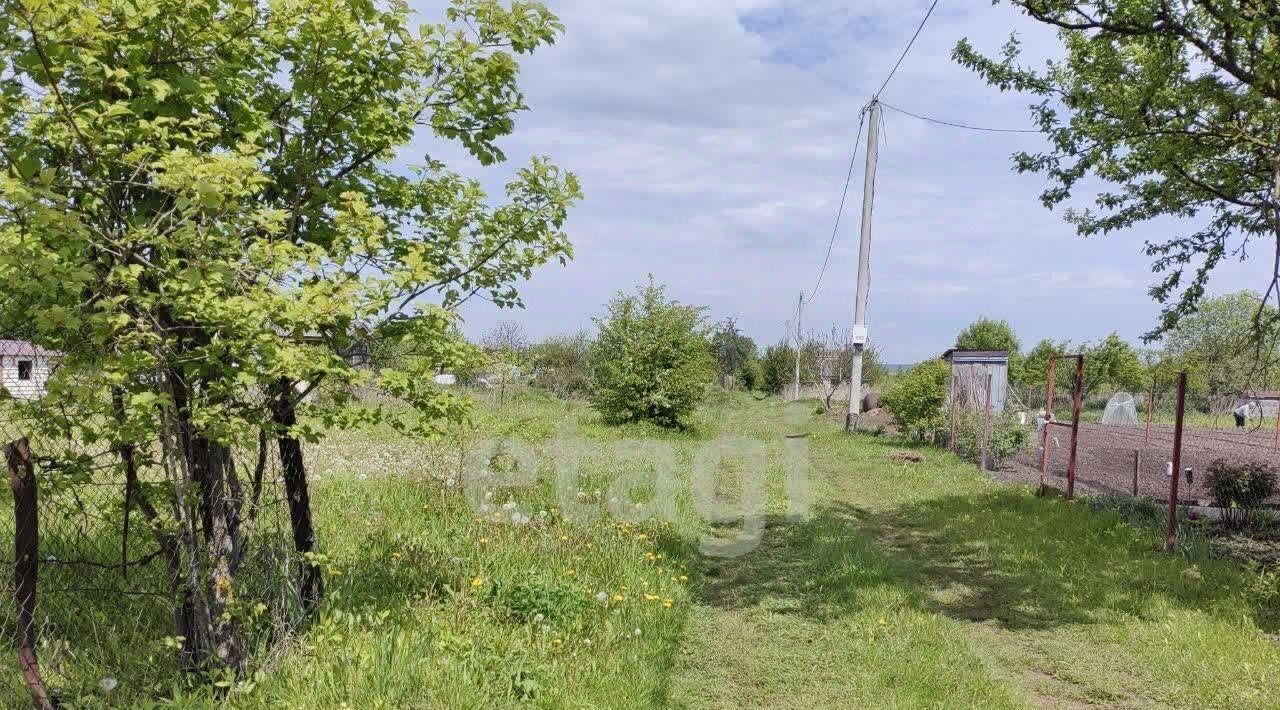 земля г Брянск р-н Бежицкий Надежда, садоводческое товарищество фото 8