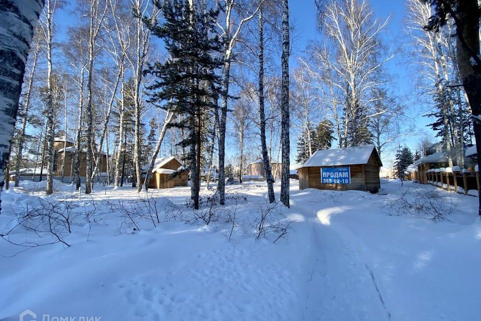 земля г Бердск посёлок Светлый ул Виноградная городской округ Бердск фото 8