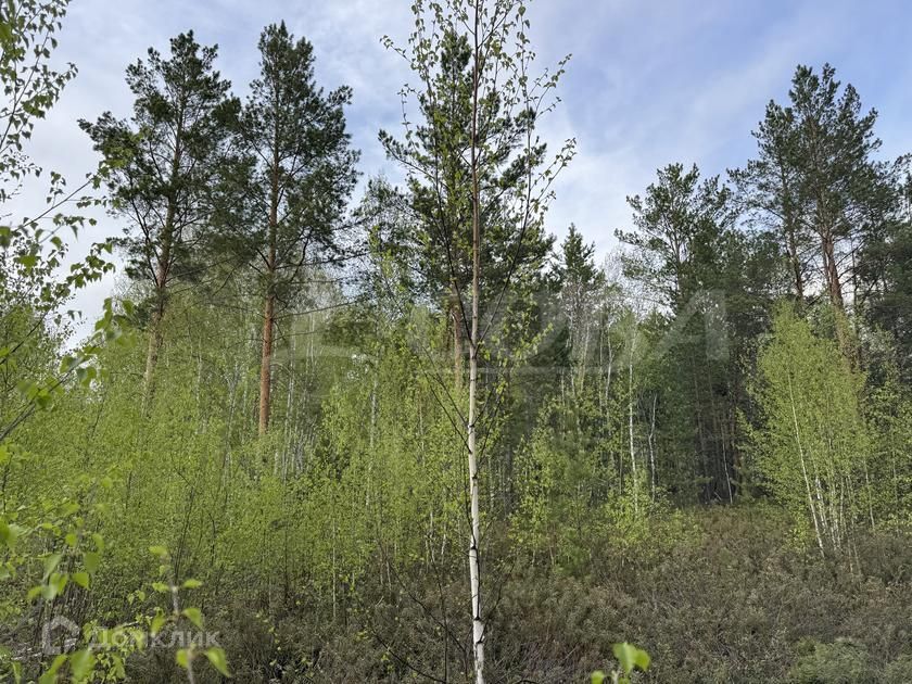 земля р-н Нижнетавдинский СНТ Здоровье-2 фото 8