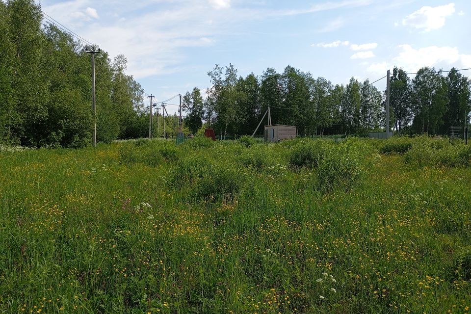 земля р-н Всеволожский Морозовское городское поселение фото 3