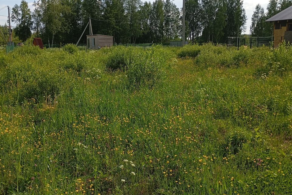 земля р-н Всеволожский Морозовское городское поселение фото 2