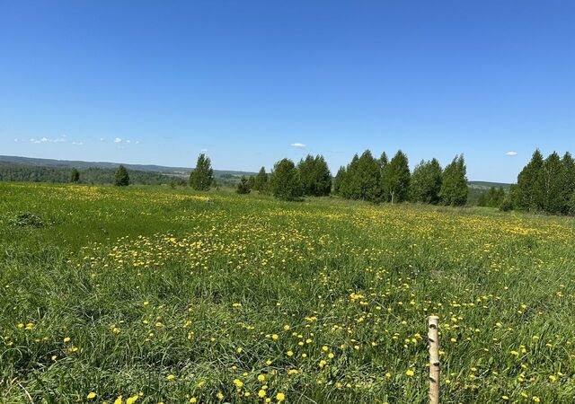 коттеджный пос. Красная поляна, Новокузнецк фото