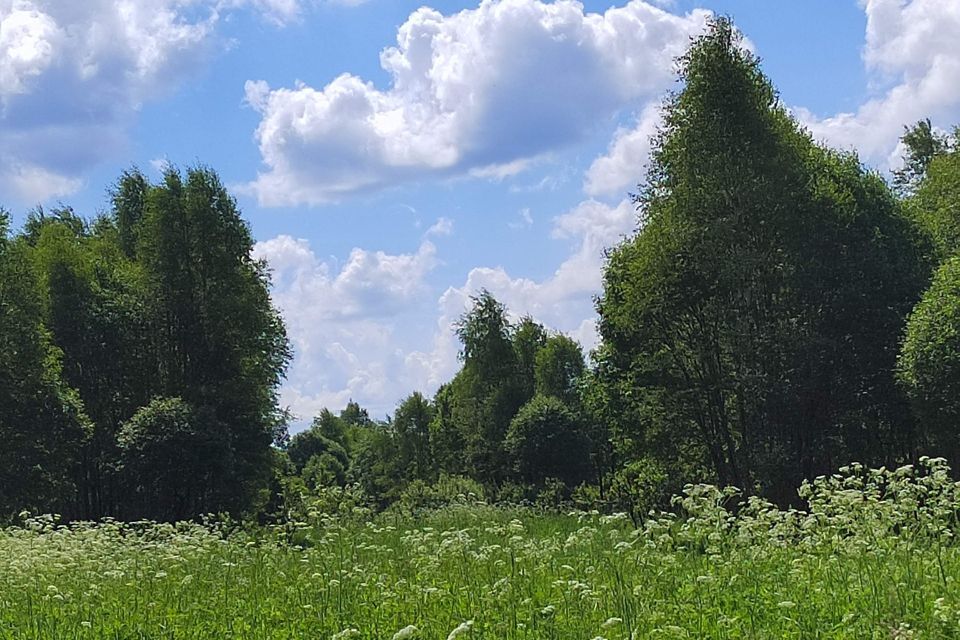 земля р-н Гагаринский деревня Максимовка фото 4