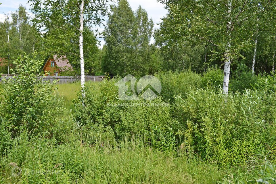 земля р-н Новосибирский товарищество собственников недвижимости Облепиха, Рассветная улица фото 1