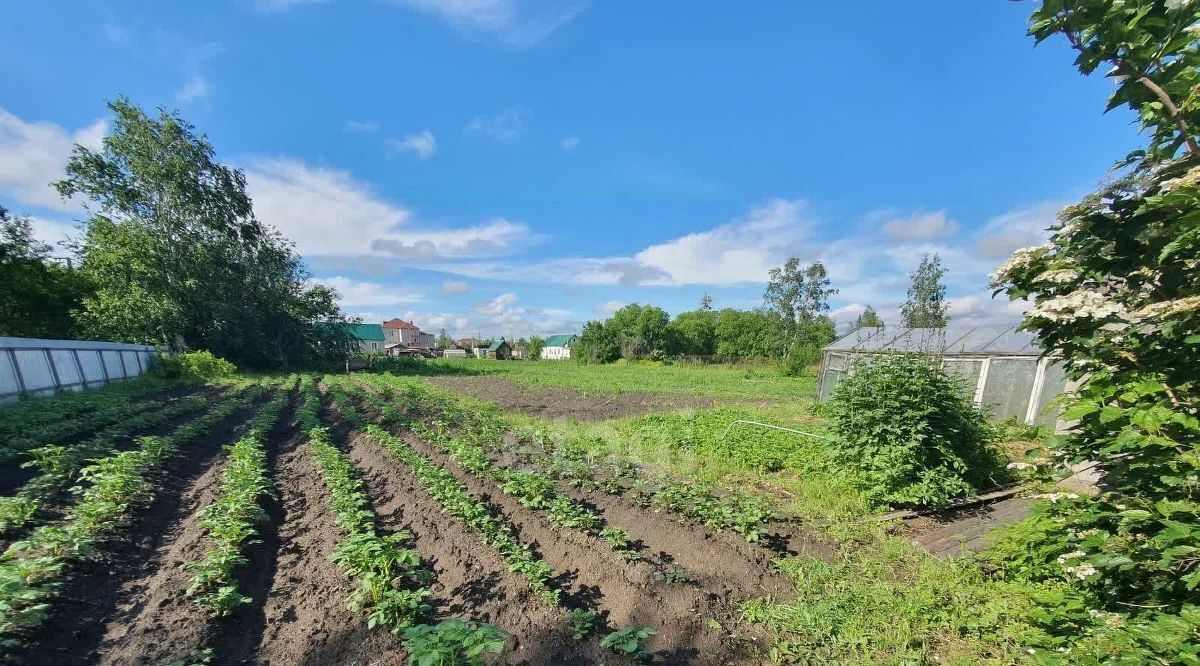 дом р-н Смидовичский п Приамурский ул Лазо 8 фото 11