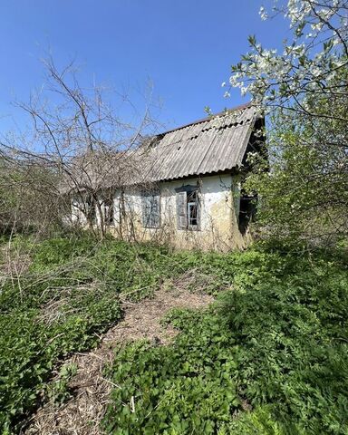 Ярославское сельское поселение, Ярославская фото