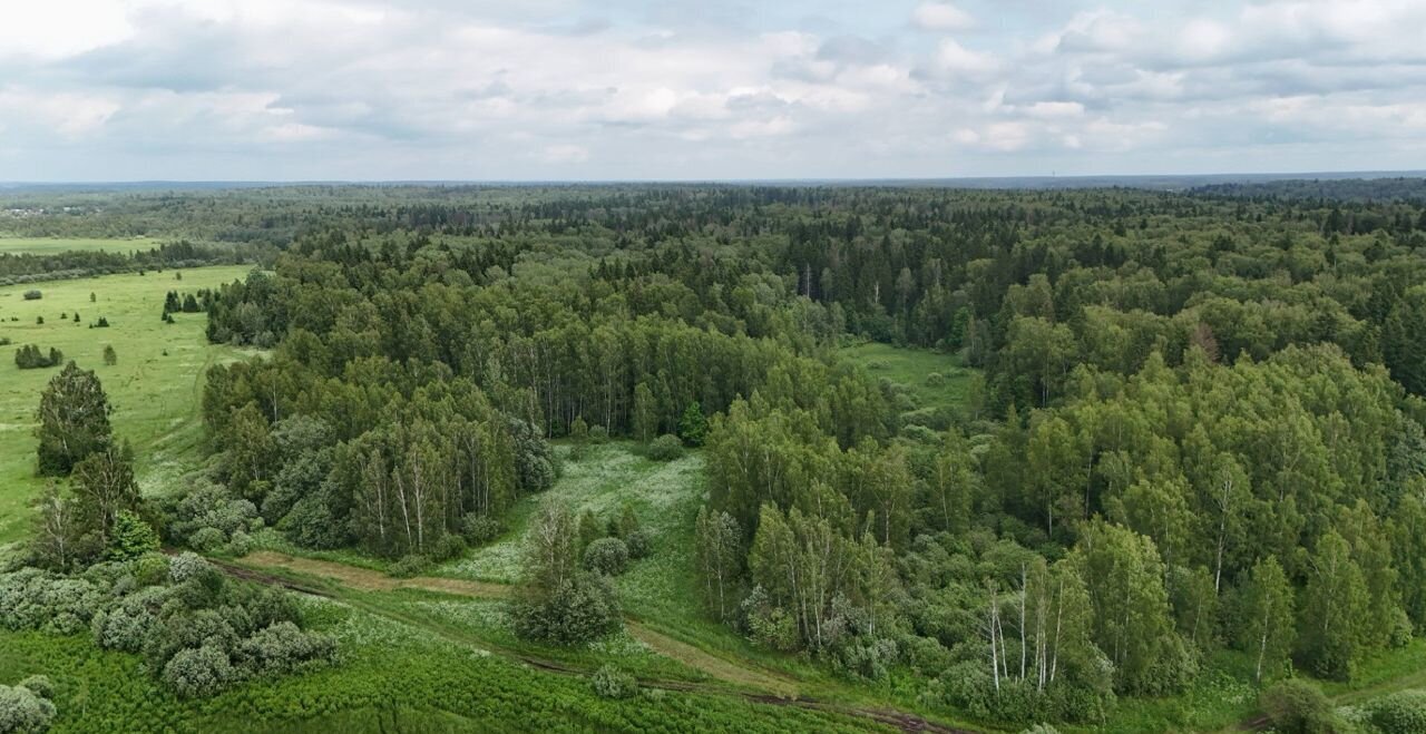 земля городской округ Истра д Алёхново 41 км, Истра, Пятницкое шоссе фото 5