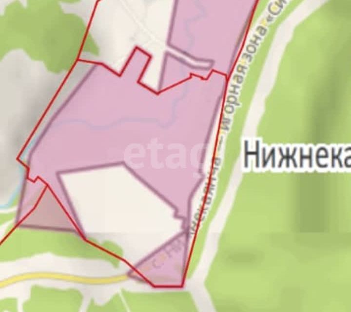 земля р-н Алтайский с Нижнекаянча ул Центральная 54 фото 2