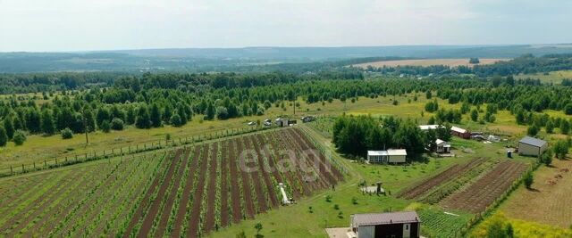 Протасовское муниципальное образование фото