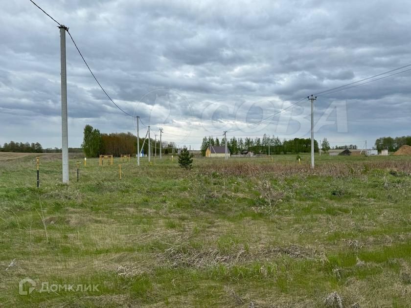 земля р-н Тюменский Червишевское муниципальное образование фото 2