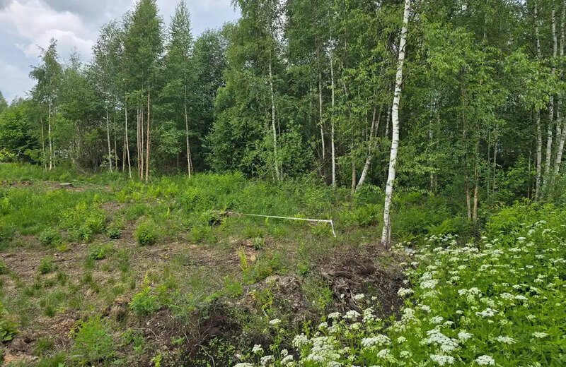 земля Щегловское сельское поселение, Ладожская, садоводческое некоммерческое товарищество Щеглово-1 фото 2