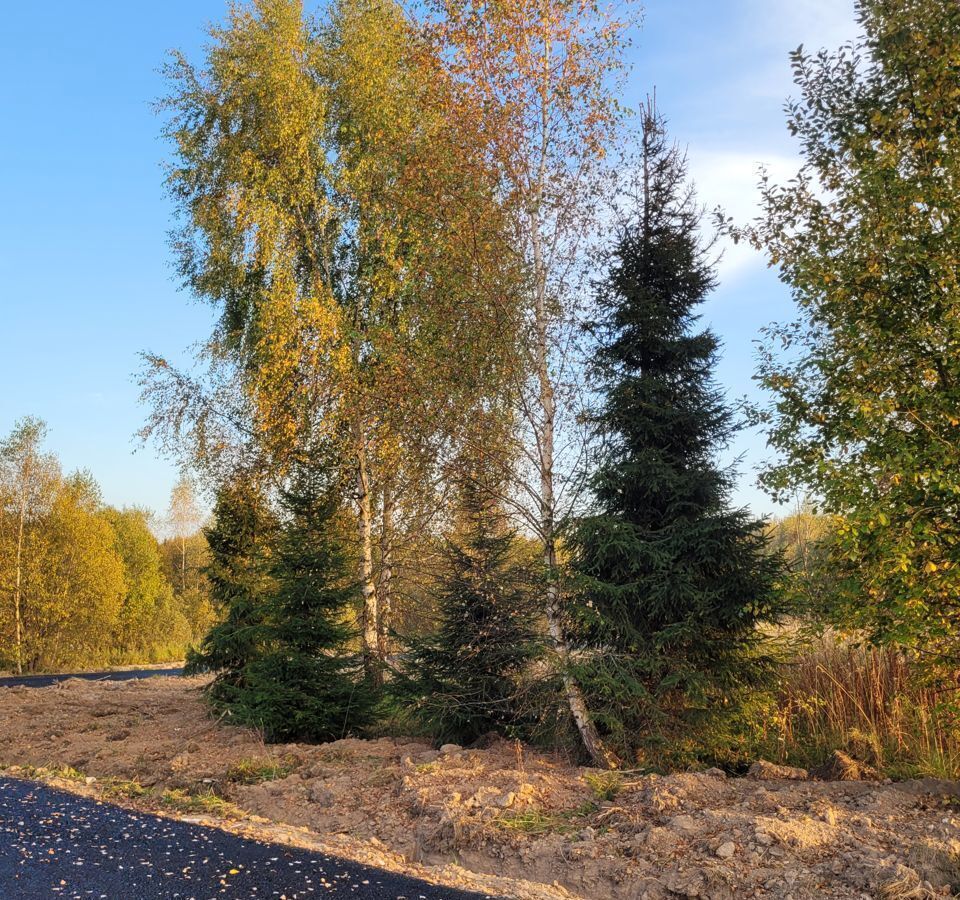 земля городской округ Дмитровский рп Икша ул Пионерская фото 5