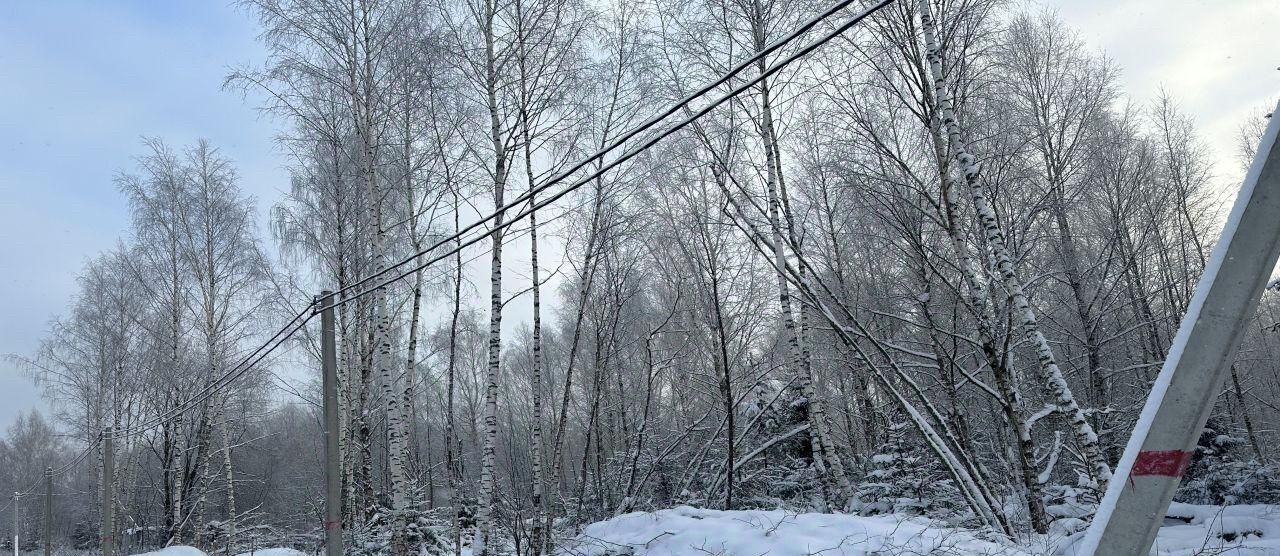 земля городской округ Раменский д Коняшино ул Зеленая Речицы фото 9