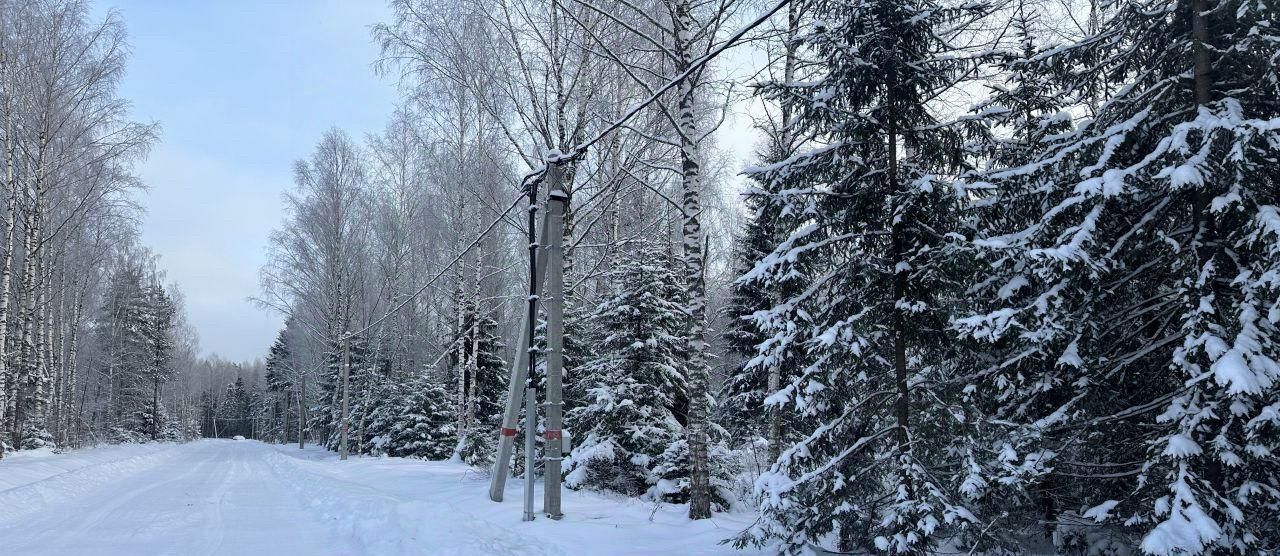 земля городской округ Раменский д Коняшино ул Зеленая Речицы фото 13