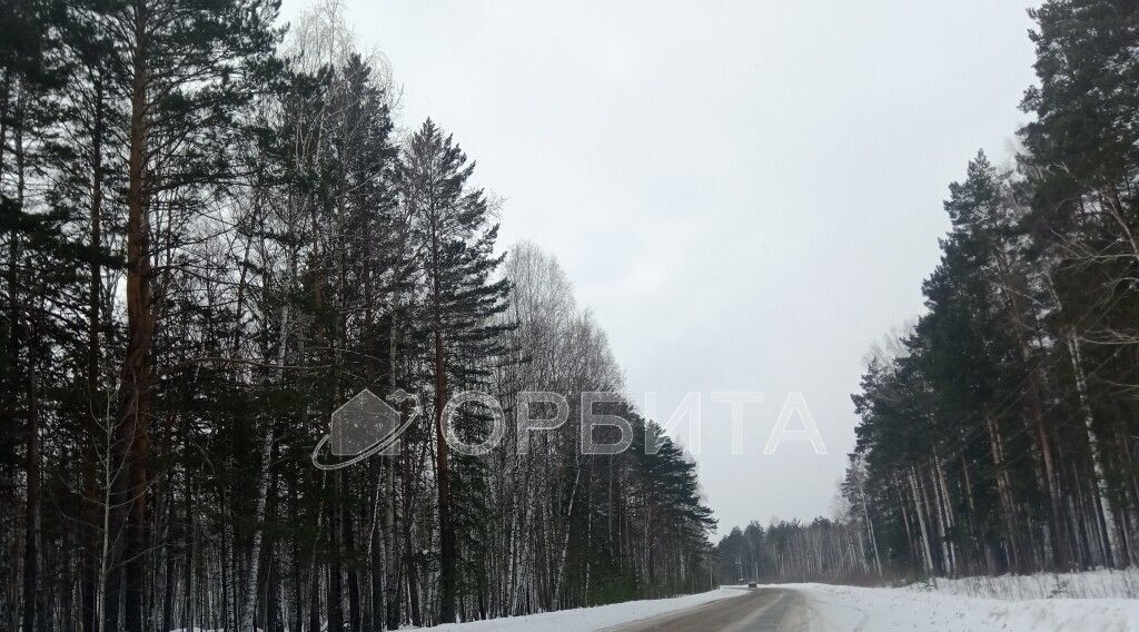 земля р-н Нижнетавдинский с Тюнево фото 13