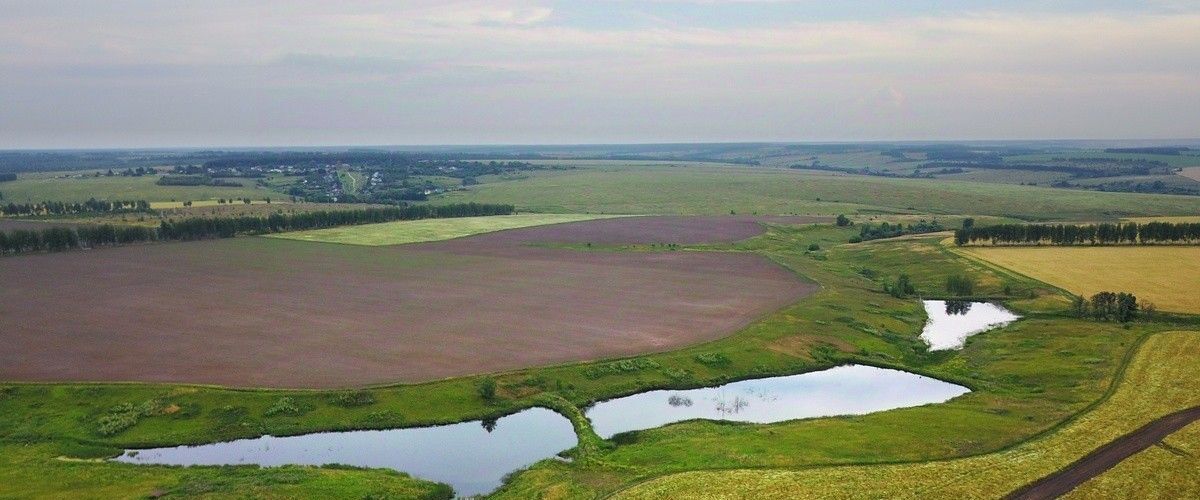 земля р-н Ясногорский Теляковское муниципальное образование, Зеленая миля кп фото 3