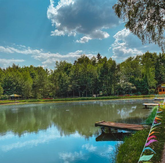 комната городской округ Одинцовский г Голицыно ш Петровское 52 фото 15