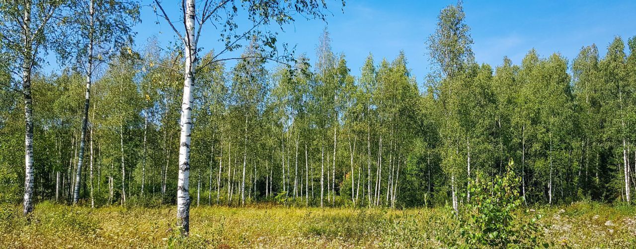 земля р-н Боровский д Асеньевское с пос, Усадьба Тишнево-2 кп, ул. Усадебная фото 8