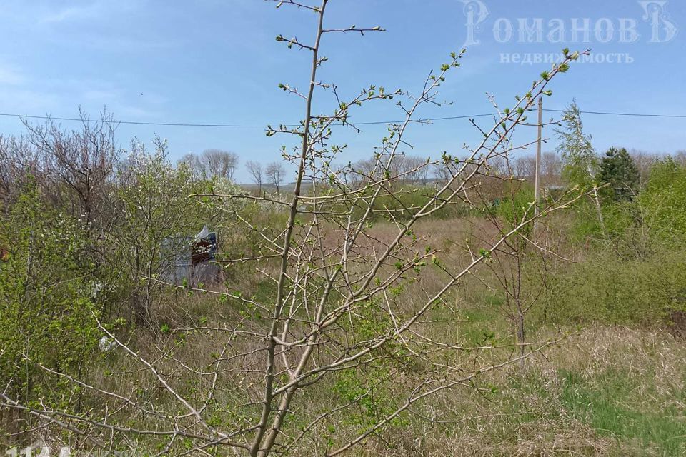 земля городской округ Ставрополь, садовое товарищество Встреча, 322 фото 4