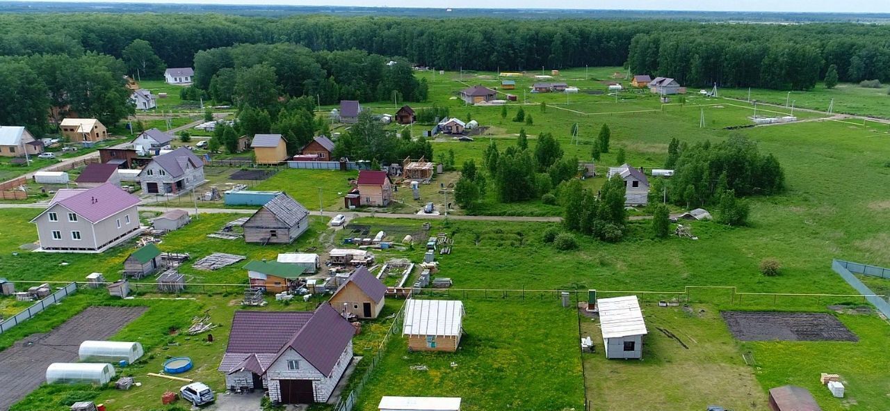 земля р-н Новосибирский с Марусино Криводановский сельсовет фото 11