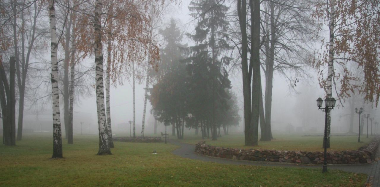 комната г Бор д. Филипповское, ул. Слободка, 34 фото 2