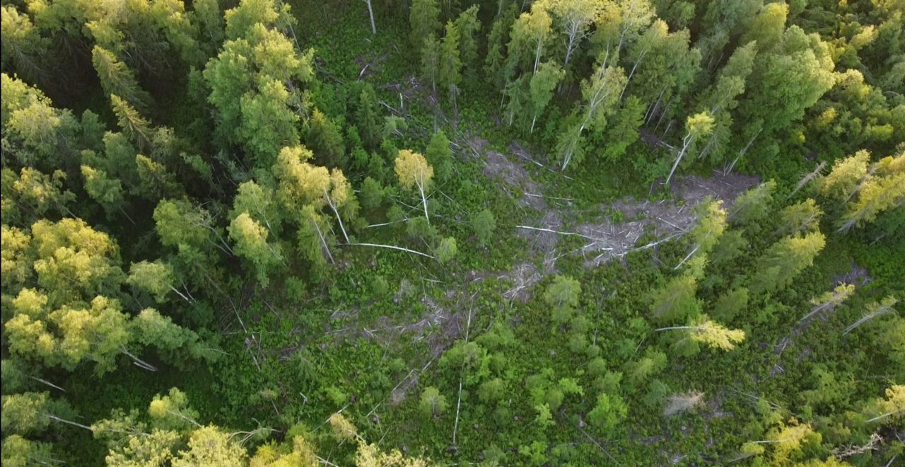 земля р-н Всеволожский 9747 км, 41К-012, Лесколово, Ленинградское шоссе фото 17