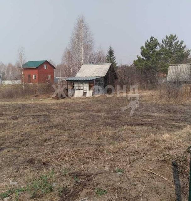 земля р-н Колыванский садовое некоммерческое товарищество Инструментальщик-2 фото 1