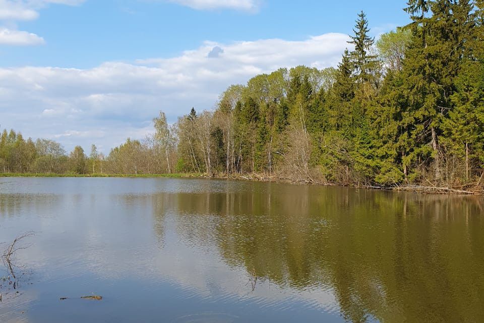 земля р-н Боровский д Семичево ул Шоссейная фото 5