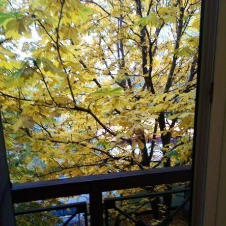 комната г Энгельс пр-кт Фридриха Энгельса 157а фото 9