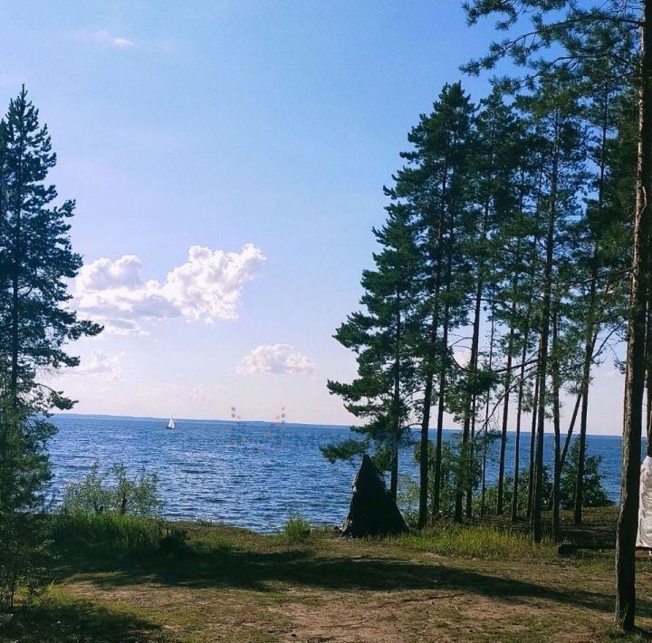 дом р-н Чкаловский д Губцево Чкаловск городской округ фото 1