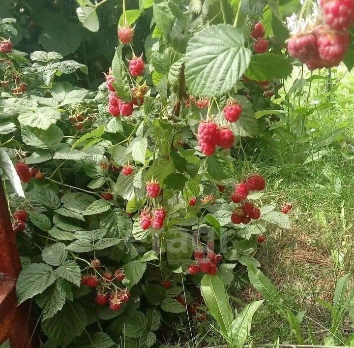 дом р-н Стерлибашевский с Стерлибашево ул Шаймуратова 20 Стерлибашевский сельсовет фото 16