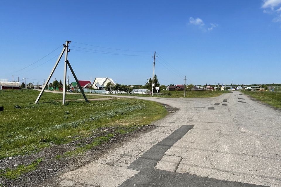 земля р-н Нижнекамский с Смыловка ул Луговая фото 4