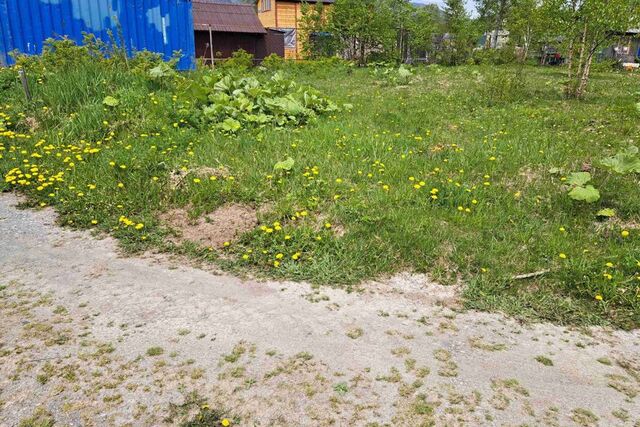 городской округ Южно-Сахалинск, СНТ Урожай фото
