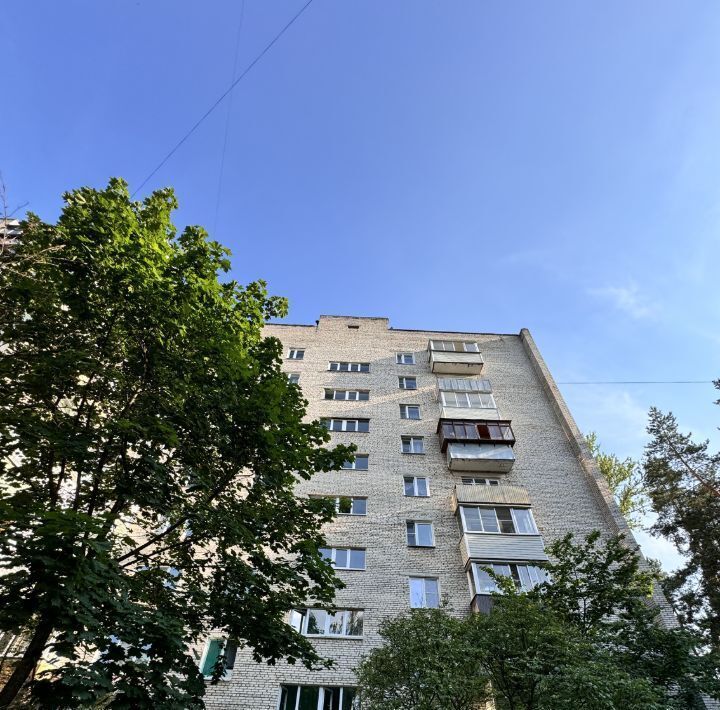 квартира г Балашиха мкр Заря ул Гагарина 11 Новокосино фото 1