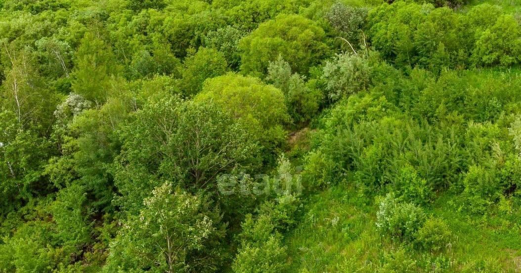 земля г Хабаровск р-н Железнодорожный снт Луч СДТ фото 8