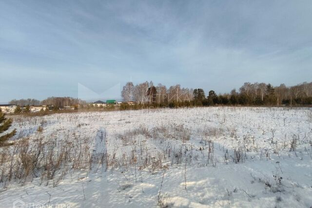 земля с Куларовское коттеджный посёлок Соловьиная роща, муниципальное образование фото