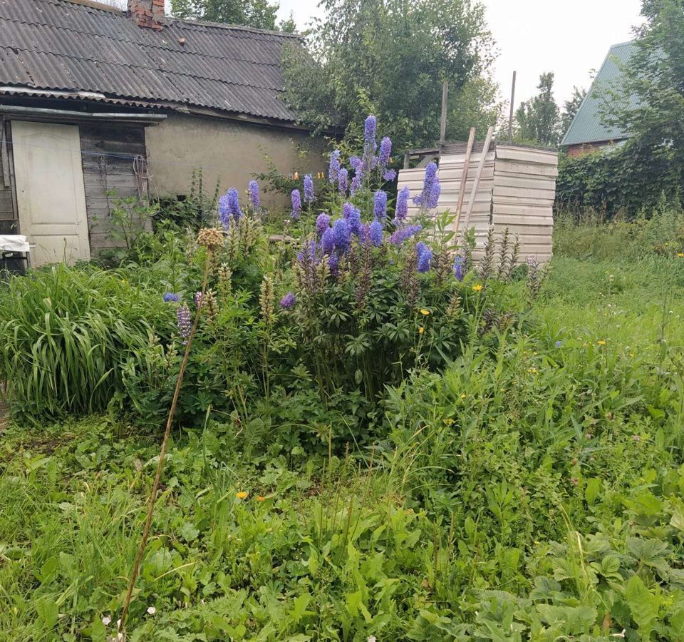 земля городской округ Зарайск д Клин-Бельдин Новорязанское шоссе, 19 км, Рязанская область, Рыбное фото 3