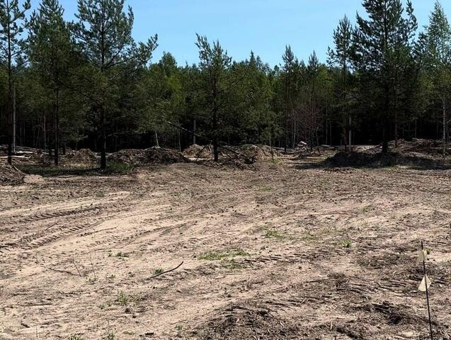 земля садоводческое некоммерческое товарищество Сосновый фото