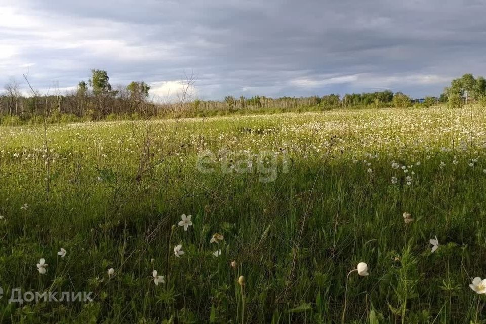 земля р-н Березовский ДНТ Берёзовая Роща фото 3