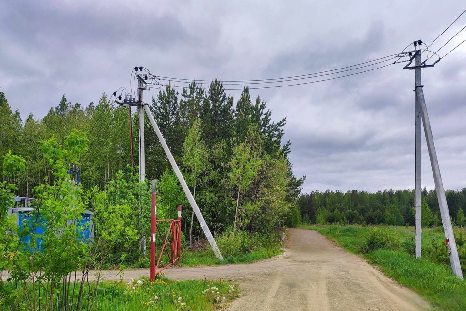 земля городской округ Верхняя Пышма, СНТ Оазис фото 7